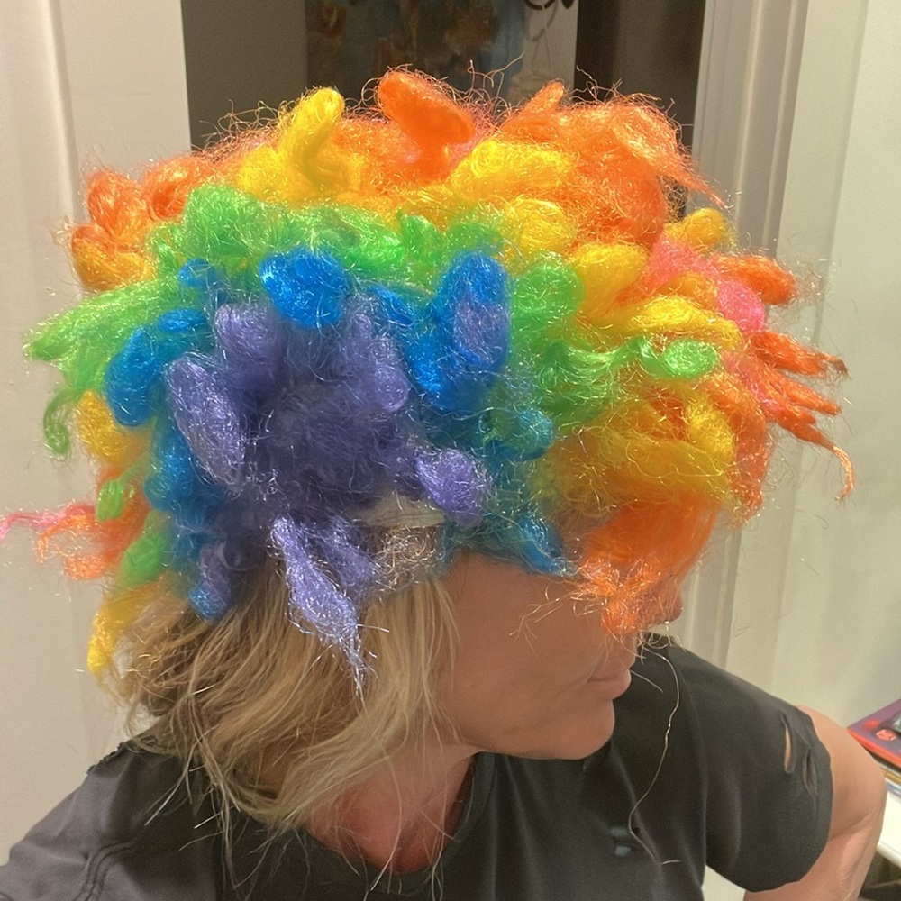 🌈🌈🤡🤡 Vintage Colorful Rainbow Clown Wig